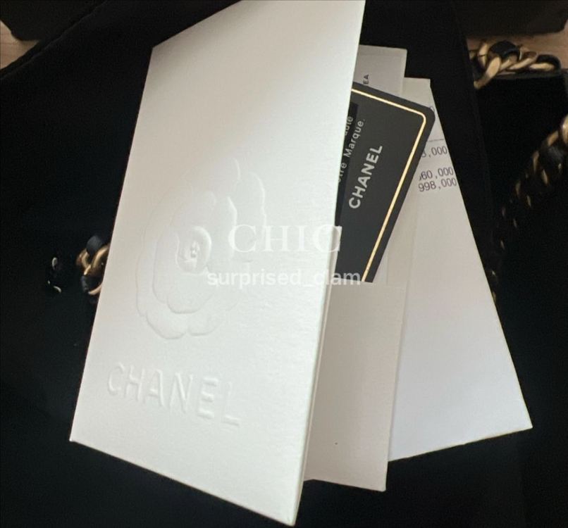 샤넬 동그리19 탬버린백 이미지