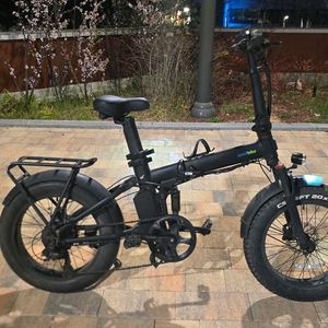 팻바이크 전기자전거 퀄리맥스리미티드 판매 이미지