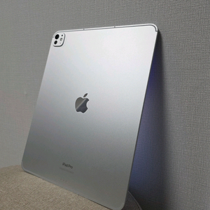 아이패드 프로 13 (M4) 실버 (셀룰러) 이미지