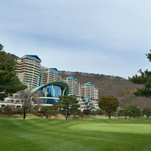 5,6월 주중 홍천 소노펠리체 테라스60평 단독형 초특가 이미지