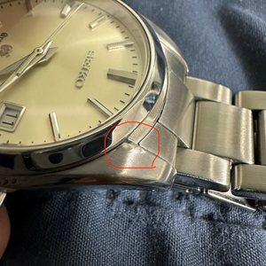 그랜드세이코 sbgx063 이미지