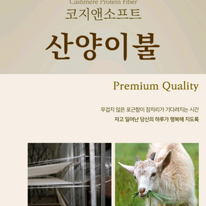 산양이불 이미지