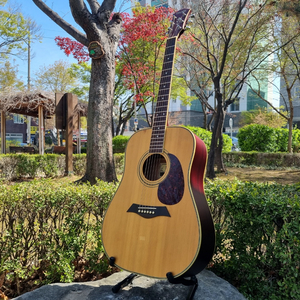 입문용 통기타 인기제품 데임 기타 판매합니다 이미지