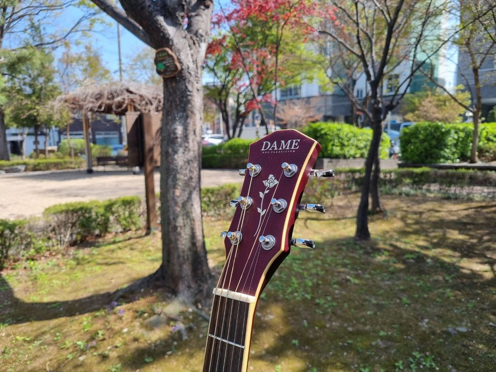 입문용 통기타 인기제품 데임 기타 판매합니다 이미지