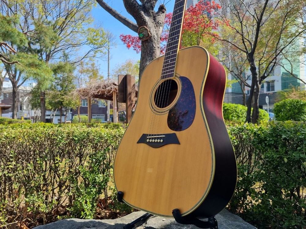 입문용 통기타 인기제품 데임 기타 판매합니다 이미지