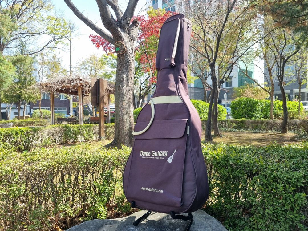 입문용 통기타 인기제품 데임 기타 판매합니다 이미지