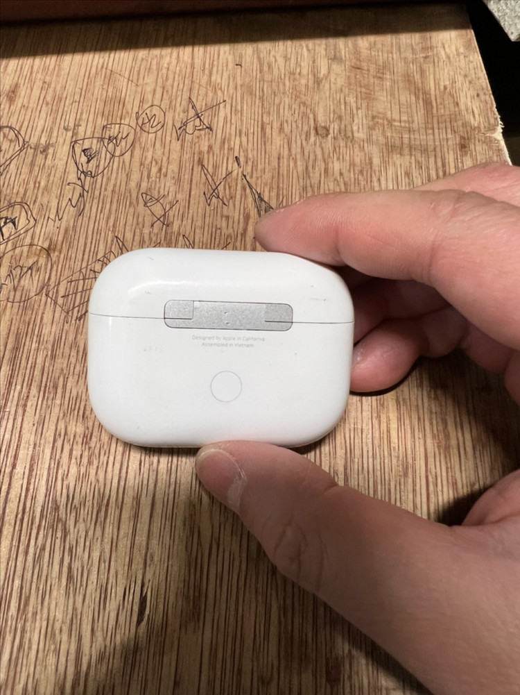 에어팟 프로 2세대 C타입 본채 이미지