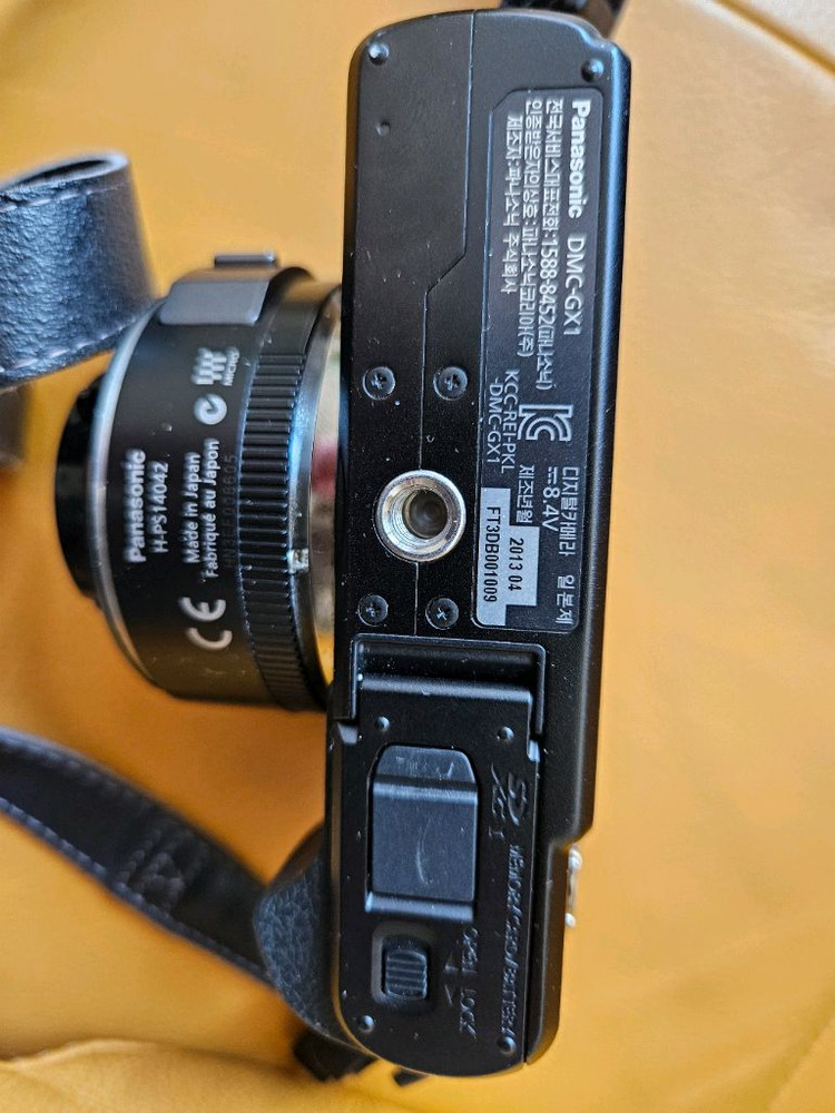 파나소닉 루믹스 DMC-GX1 카메라 이미지