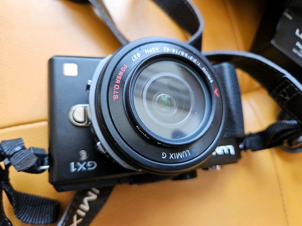 파나소닉 루믹스 DMC-GX1 카메라 이미지