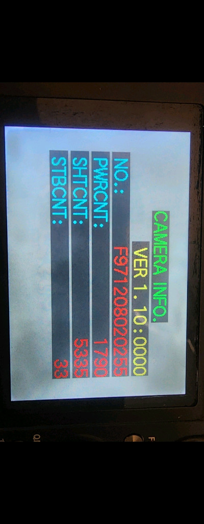 파나소닉 루믹스 DMC-GX1 카메라 이미지