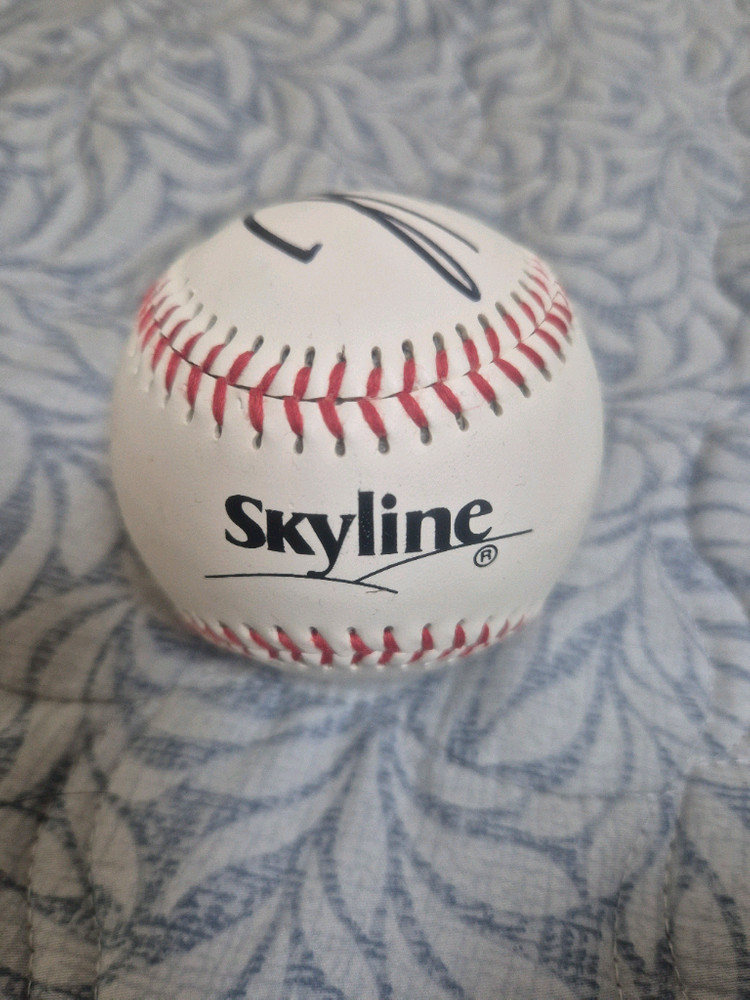 기아 타이거즈 김도영 싸인볼 야구공 이미지