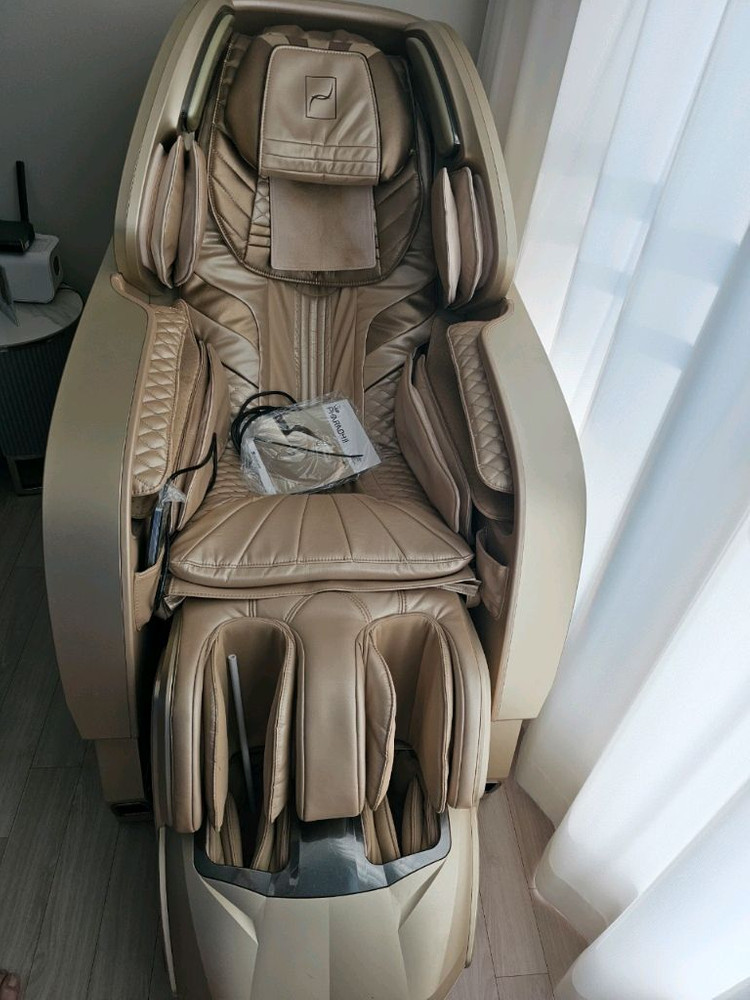 (A급)바디프랜드 파라오2 브레인 골드 이미지