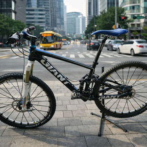 (희귀) 자이언트 앤썸X어드밴스드SL0 이미지