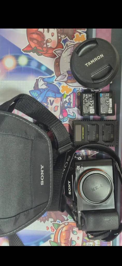 소니 a7 mark1. 탐론 35mm f2.8 이미지