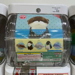 키탄클럽 수족관 가챠 돌고래 인형 이미지