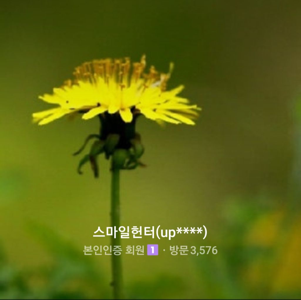 프로필 이미지