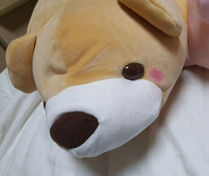 모찌모찌 졸음 곰인형 바디필로우 대형인형 쿠션 이미지