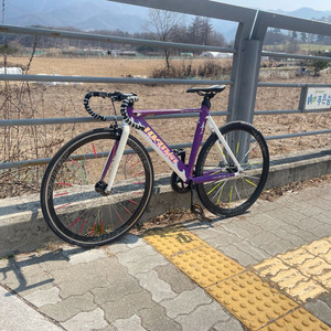 언노운 샤크 퍼플 (커버업) 이미지