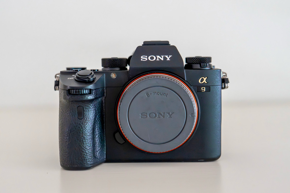 소니 a9 카메라 + 짓조 L자 플레이트 이미지