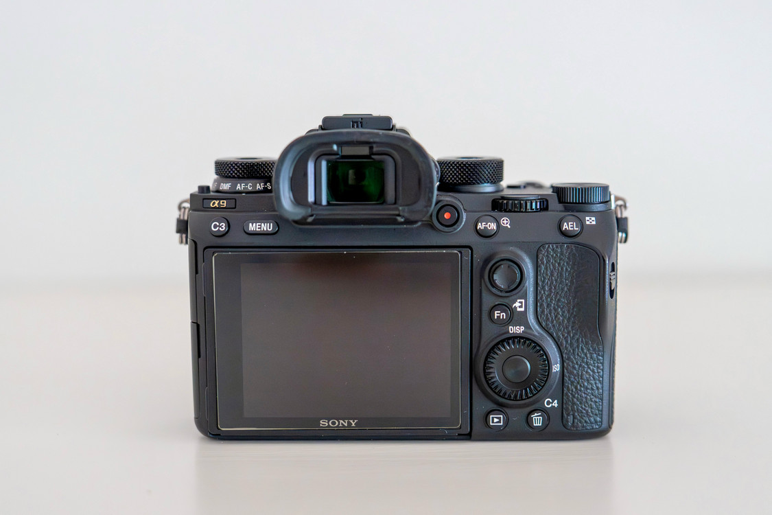 소니 a9 카메라 + 짓조 L자 플레이트 이미지