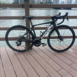 써벨로 칼레도니아5 이미지