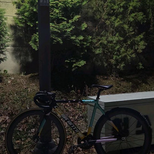 콘스탄틴 디스페랄 스페셜 포크커팅 2022 픽시 이미지