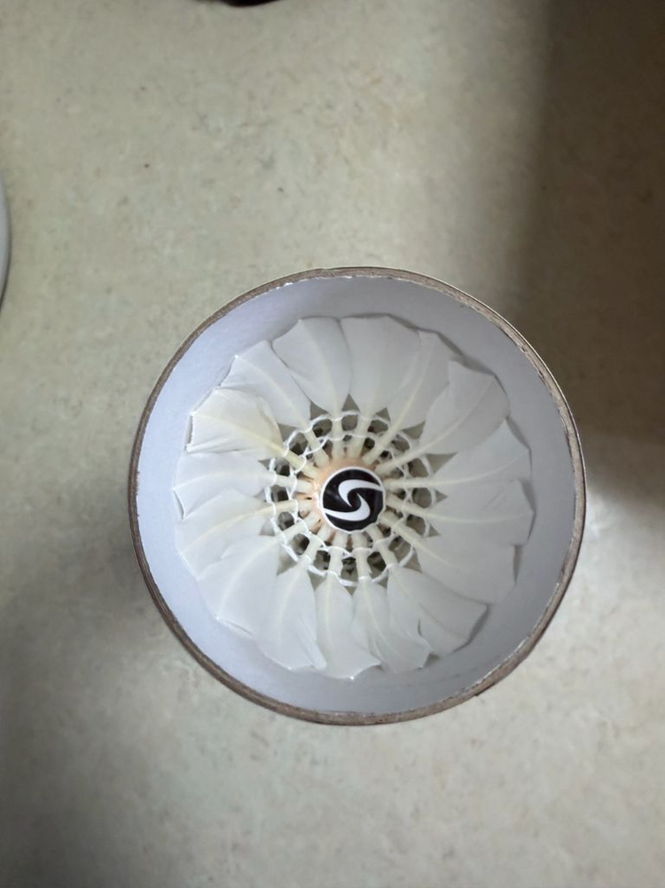 스포홀릭 배드민턴 깃털 셔틀콕 12개 이미지