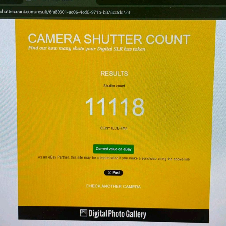 소니 a7m4 + 2470gm2 이미지