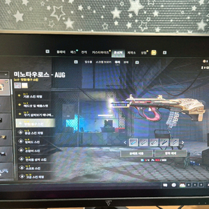 스팀 배그 미노 어그 이미지