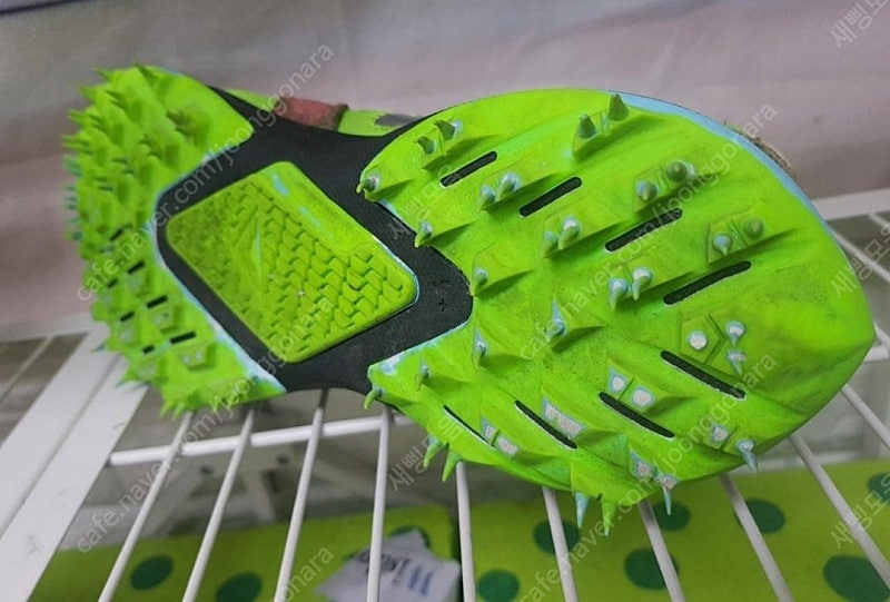 나이키 여성운동화 250 오프화이트 줌 테라 카이거5 런닝화 여성운동화 HA82 이미지