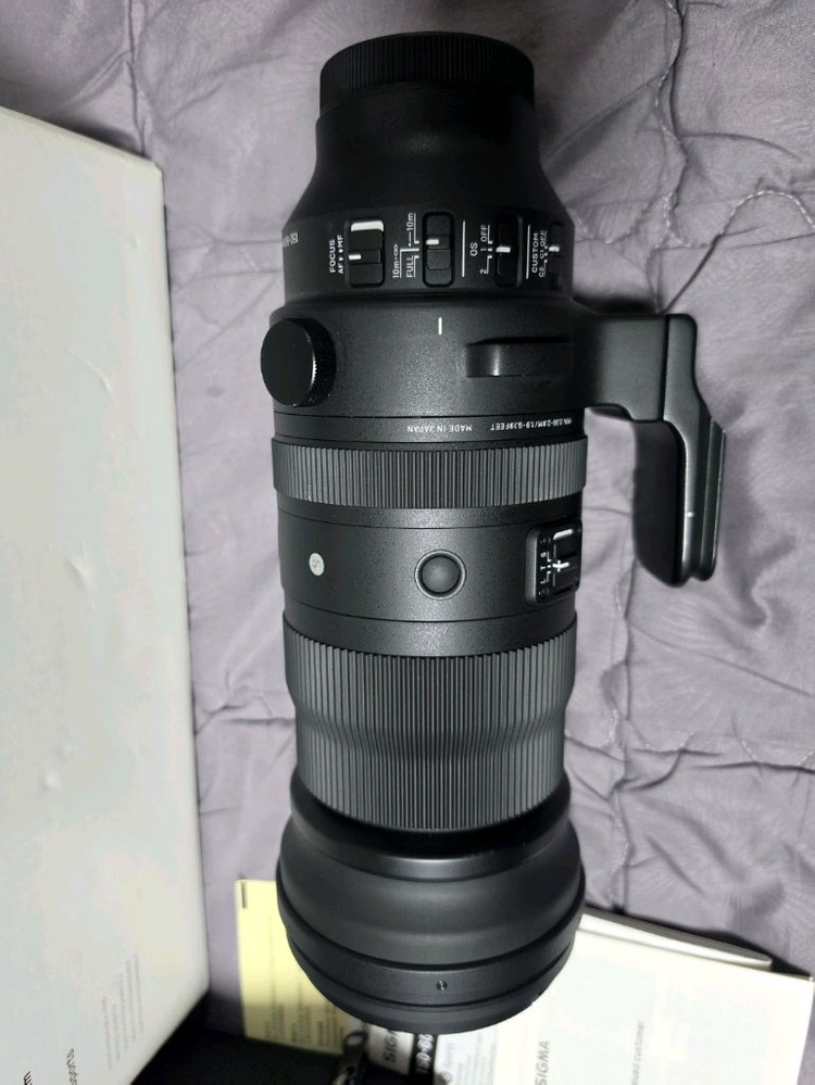 파나소믹 루믹스 시그마 150-600mm L마운트 이미지