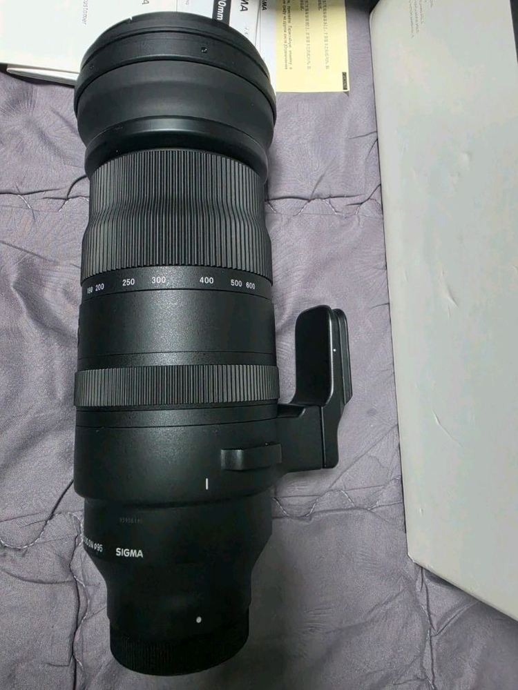 파나소믹 루믹스 시그마 150-600mm L마운트 이미지