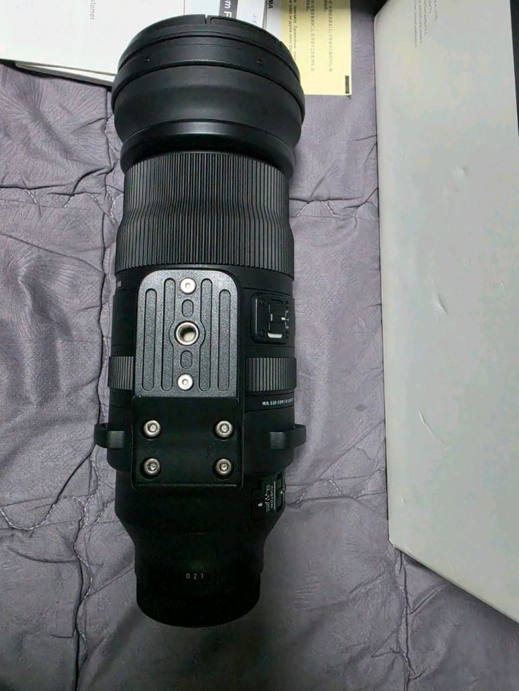 파나소믹 루믹스 시그마 150-600mm L마운트 이미지