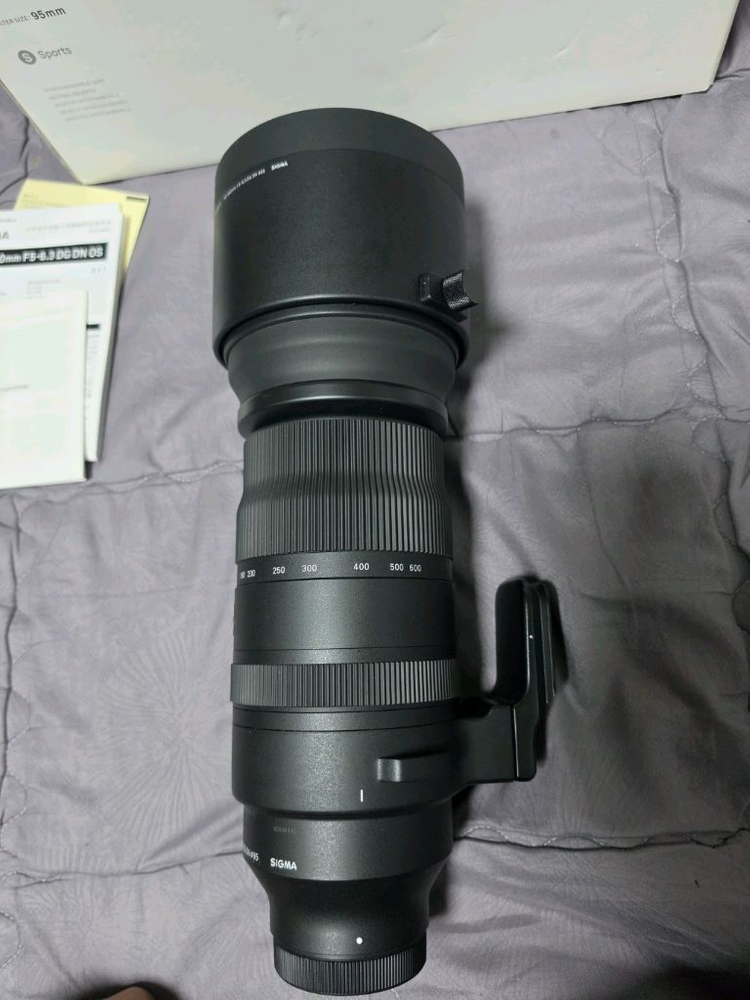 파나소믹 루믹스 시그마 150-600mm L마운트 이미지