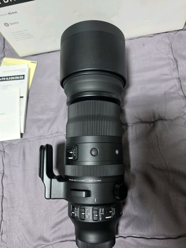 파나소믹 루믹스 시그마 150-600mm L마운트 이미지