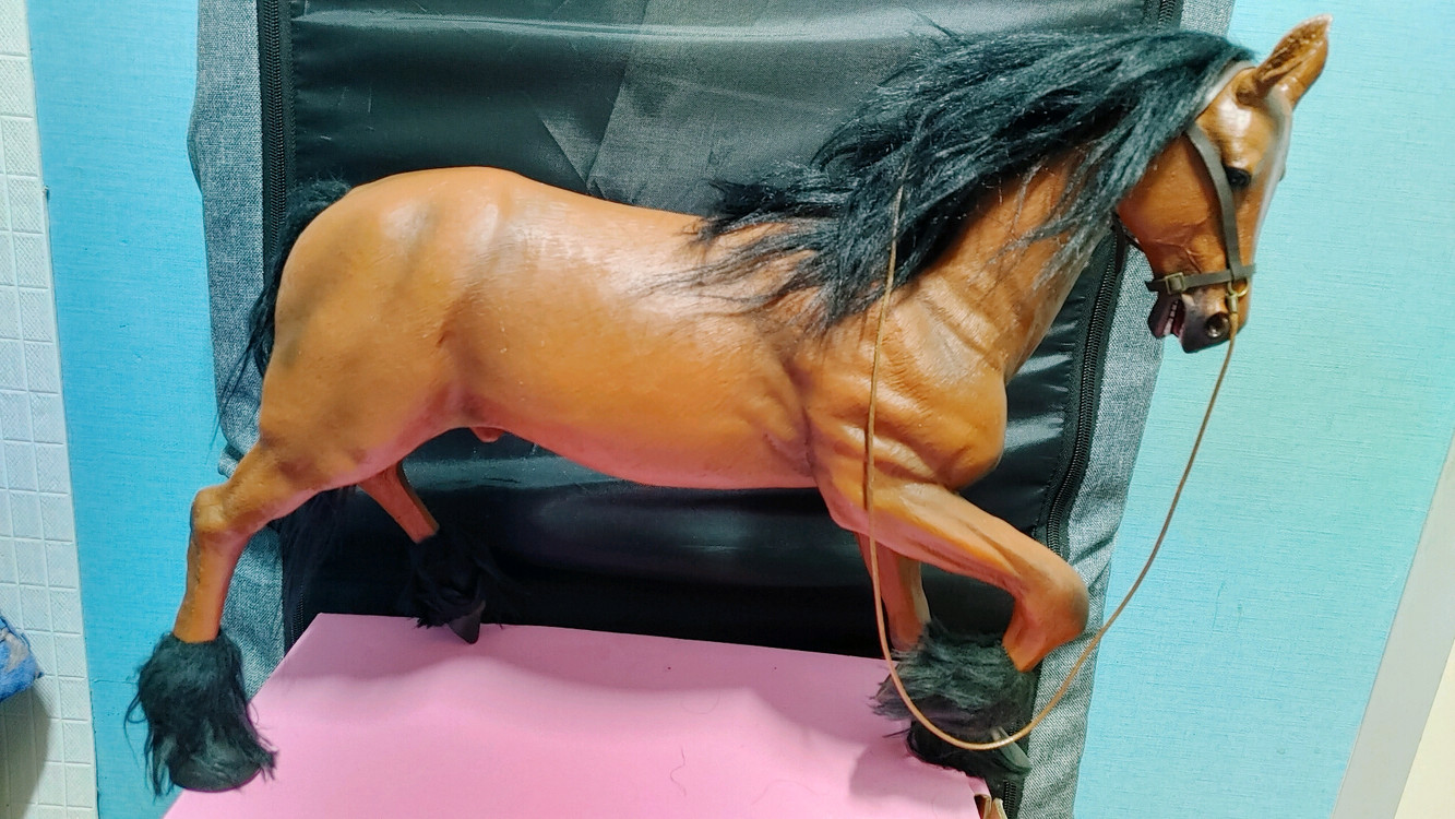 12인치 말과 정크 장수 이미지