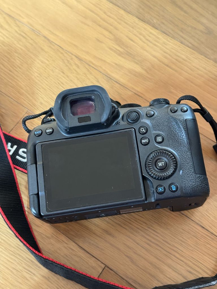 캐논 미러리스 카메라 R6M2 알식막투 이미지