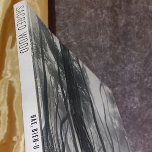 배병우 사진집_Sacred Wood 이미지