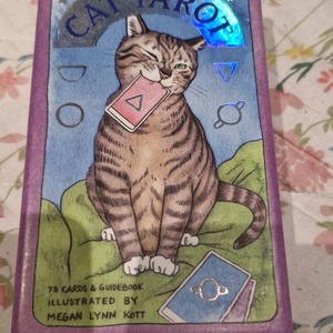고양이 타로카드 세트 이미지