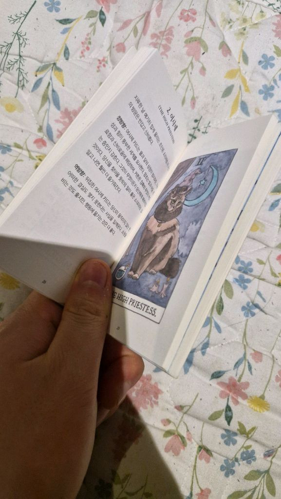 고양이 타로카드 세트 이미지