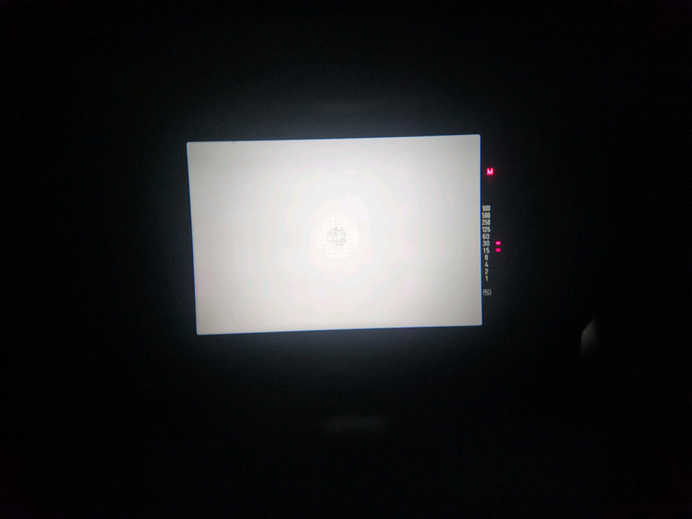 [입문용 필름카메라] MINOLTA MPS X700 FLASH SET 이미지