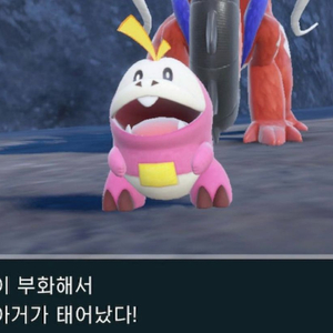 알로치 뜨아거 포켓몬스터 스칼렛 바이올렛 이로치 소드 실드 닌텐도 스위치2 챔스 챔피언스 이미지