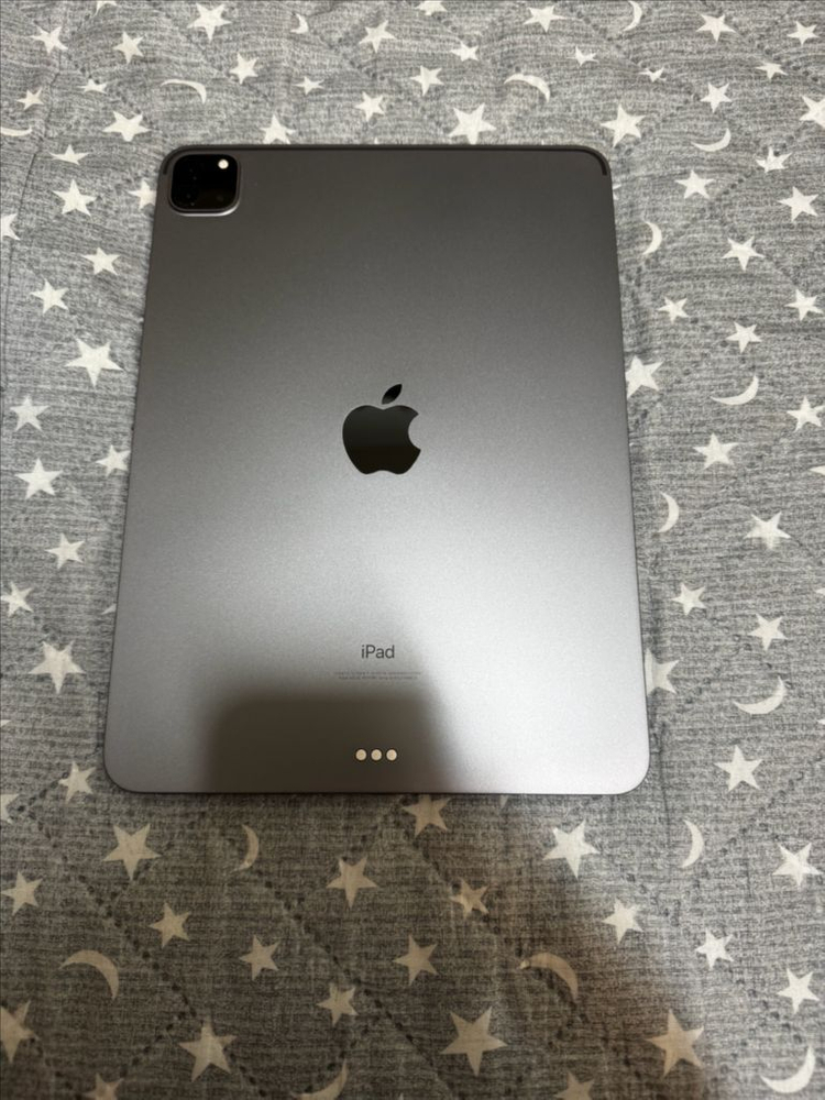 아이패드 프로 11 2세대 256 스페이스 그레이 이미지