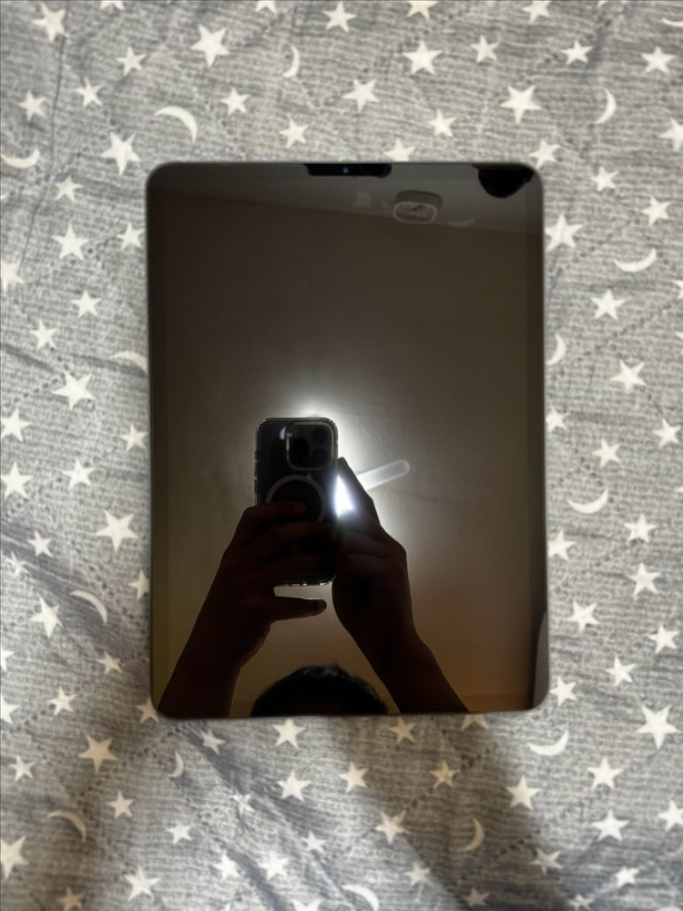 아이패드 프로 11 2세대 256 스페이스 그레이 이미지