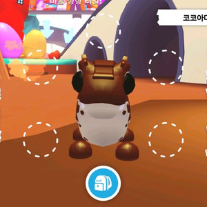 입양하세요 코코아다일 이미지