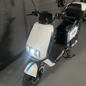 신품급) 타우러스es듀얼 전기스쿠터 배터리2개 이미지