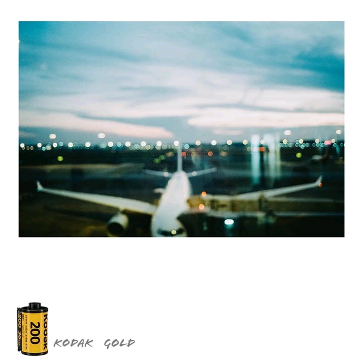 니콘 Nikon 35Ti 필름 카메라 이미지