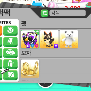 입양하세요 펫 제시에 팔아요 이미지