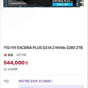 키오시아 EXCERIA PLUS G3 M.2 NVMe SSD 2TB 방열판 있음 이미지