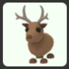 입양하세요 무능순록 이미지